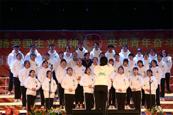 图片14